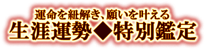 運命を紐解き、願いを叶える　生涯運勢◆特別鑑定